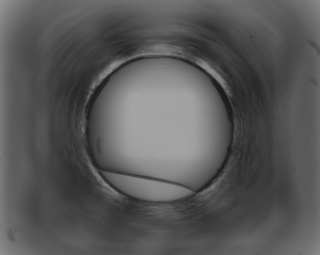 X0000093361477200710111259