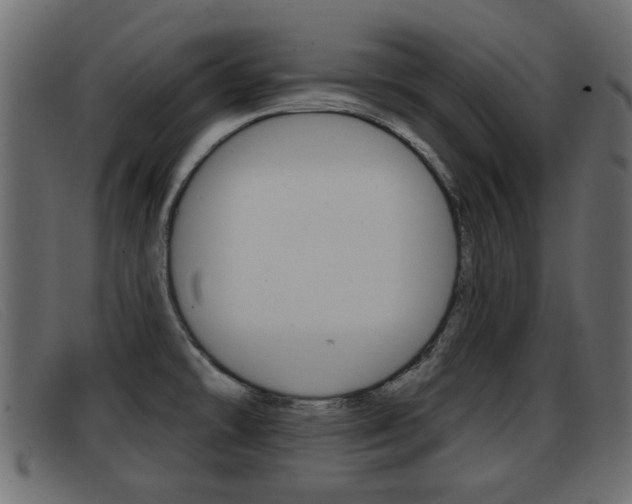 X0000093361478200710111259