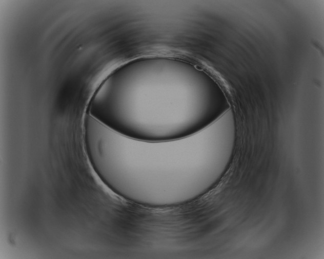 X0000093361479200710111259