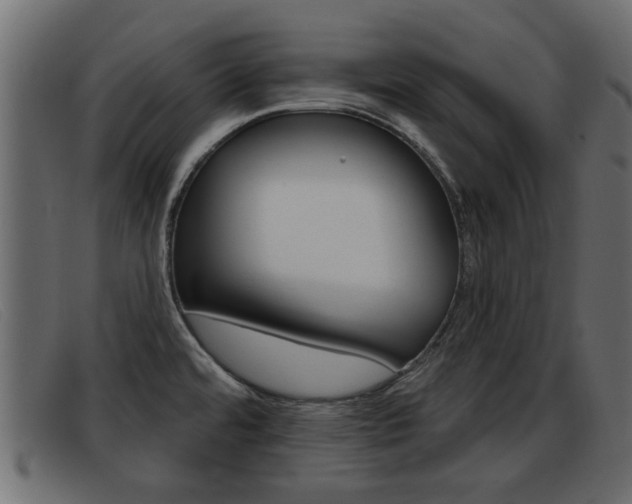X0000093361480200710111259