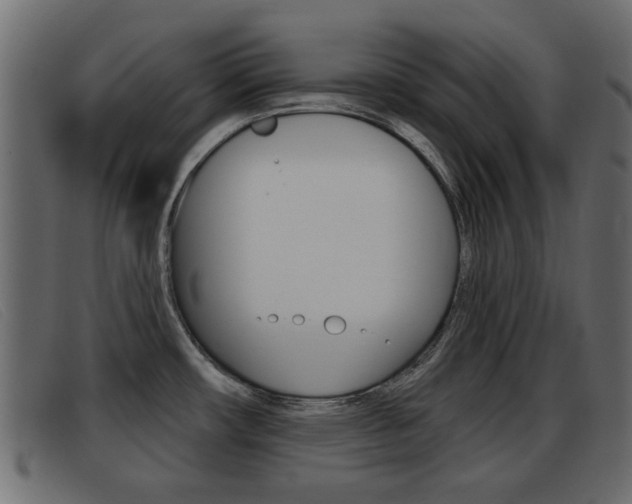 X0000093361482200710111259