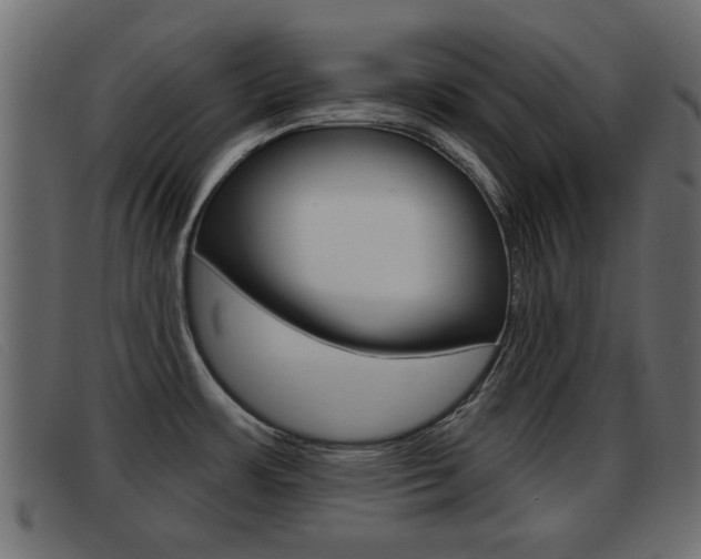 X0000093361483200710111259