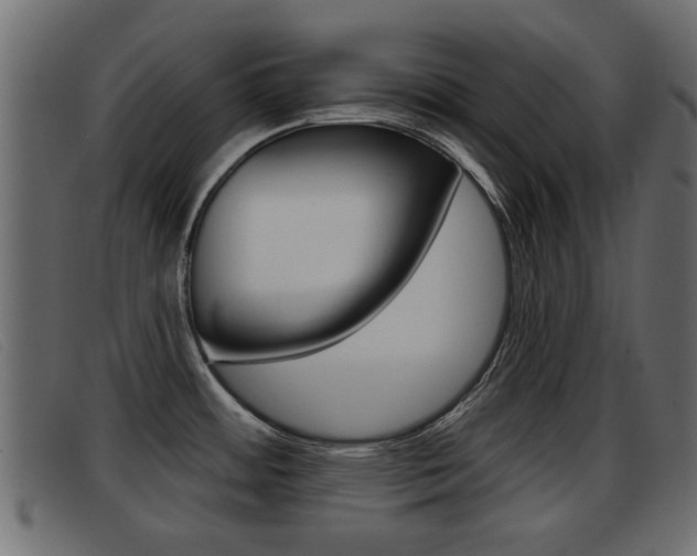 X0000093361484200710111259