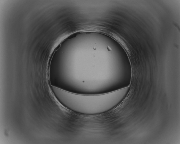 X0000093361485200710111259