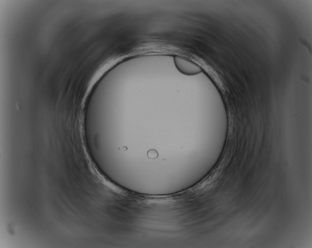X0000093361486200710111259