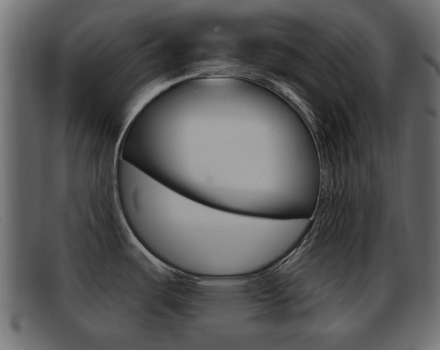 X0000093361487200710111259