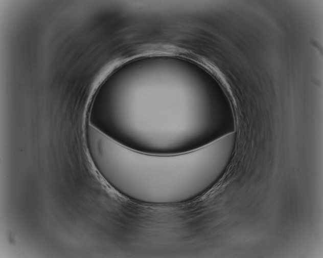 X0000093361488200710111259