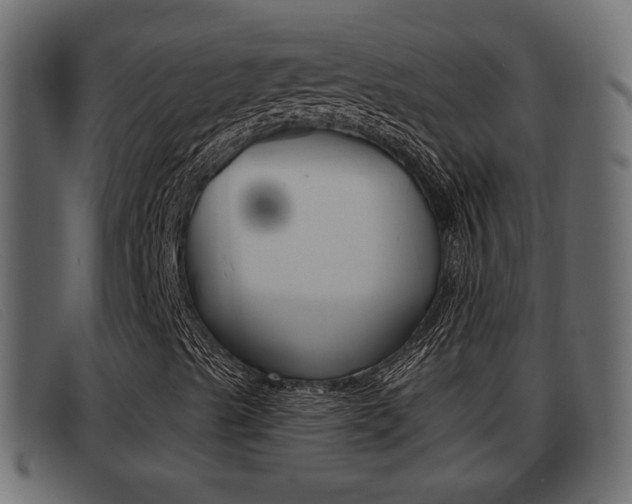 X0000093361489200710111259