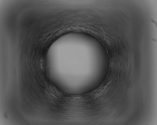 X0000093361490200710111259