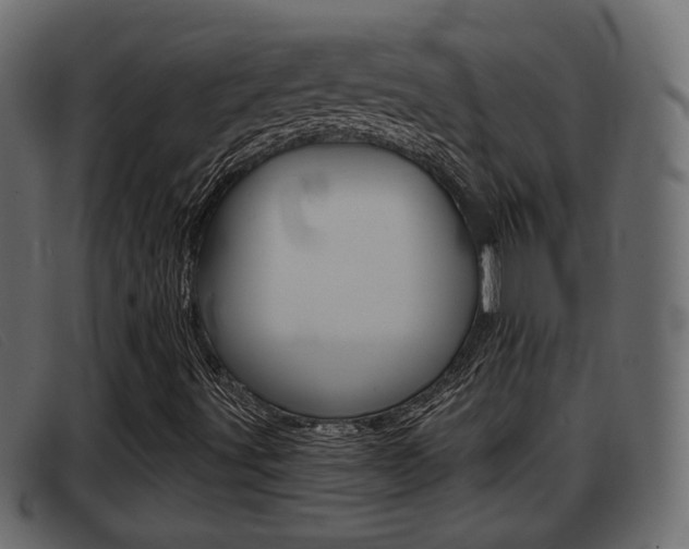 X0000093361491200710111259