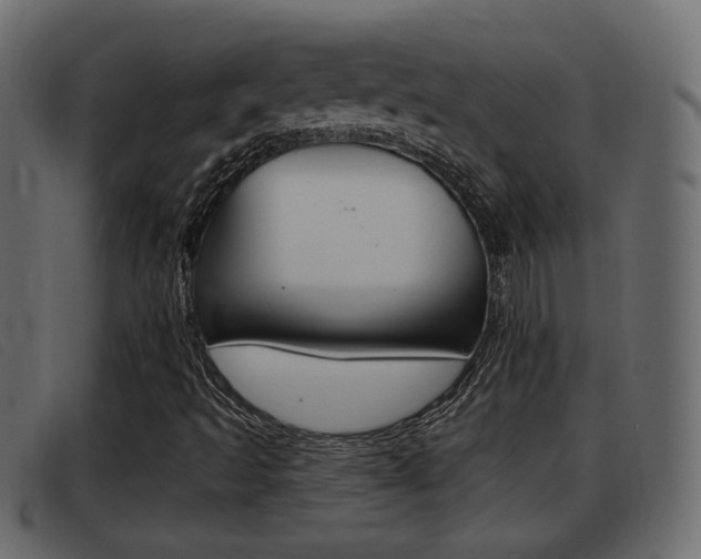 X0000093361493200710111259