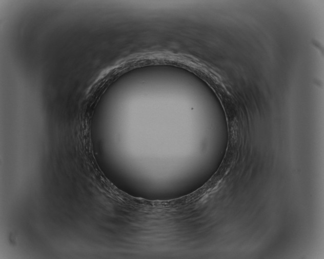 X0000093361494200710111259