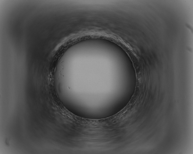 X0000093361495200710111259