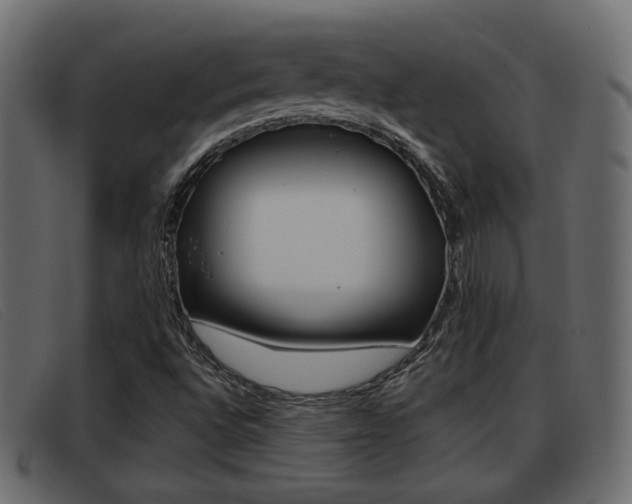 X0000093361496200710111259