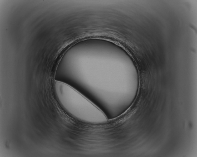 X0000093361497200710111259