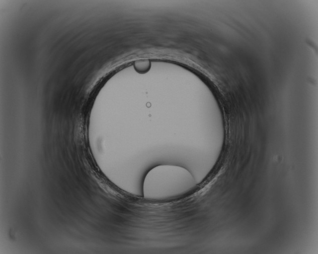 X0000093361498200710111259