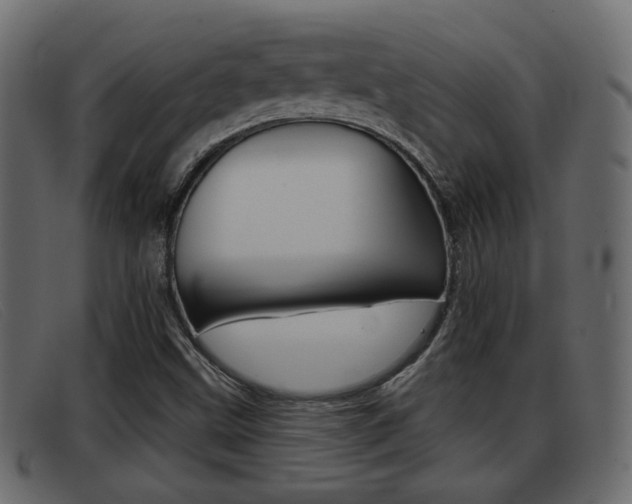 X0000093361499200710111259