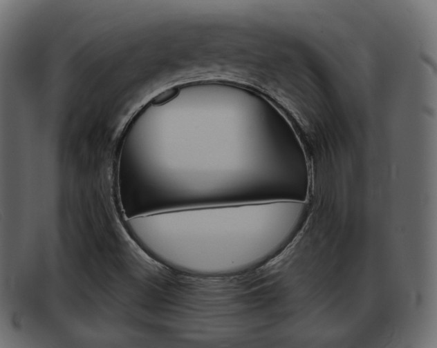 X0000093361500200710111259
