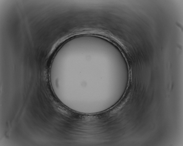 X0000093361501200710111259