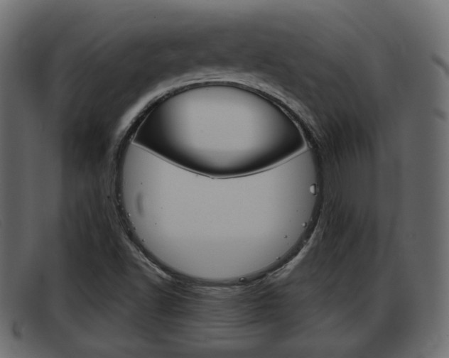 X0000093361502200710111259