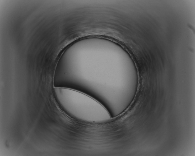 X0000093361505200710111259