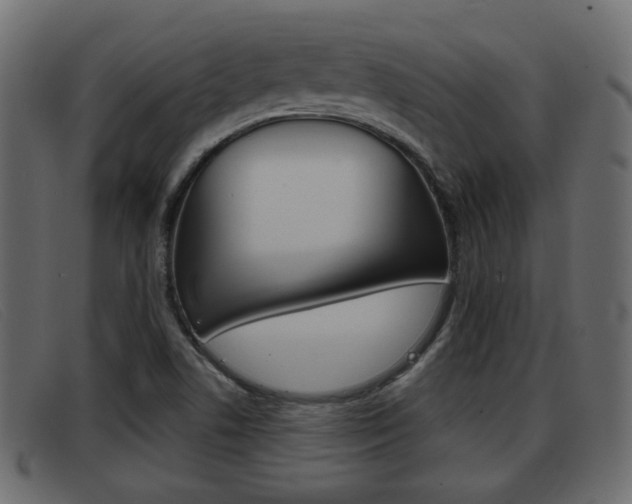 X0000093361506200710111259