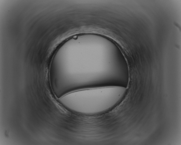 X0000093361507200710111259