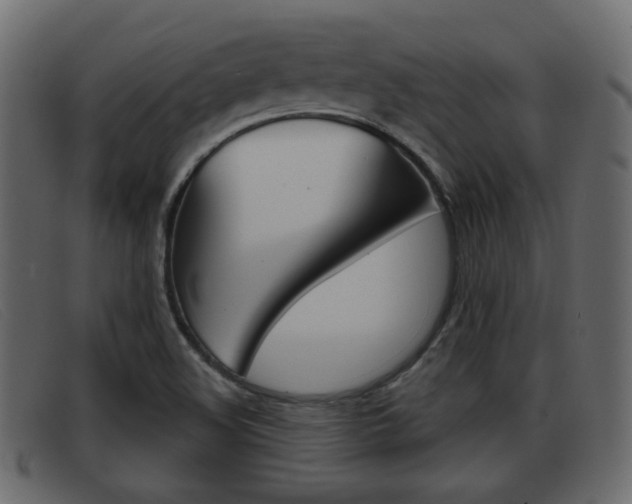 X0000093361508200710111259