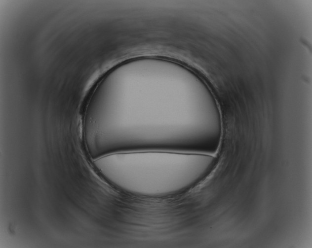 X0000093361509200710111259