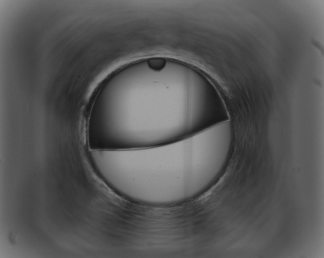 X0000093361510200710111259