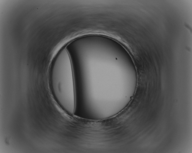 X0000093361511200710111259