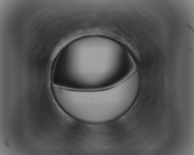 X0000093361512200710111259
