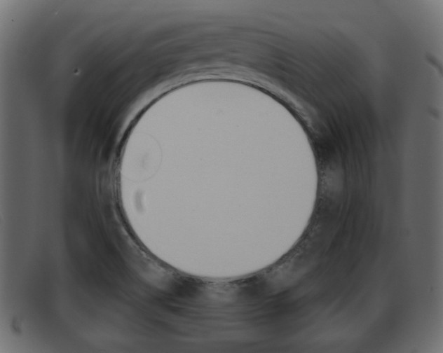 X0000093361514200710111259