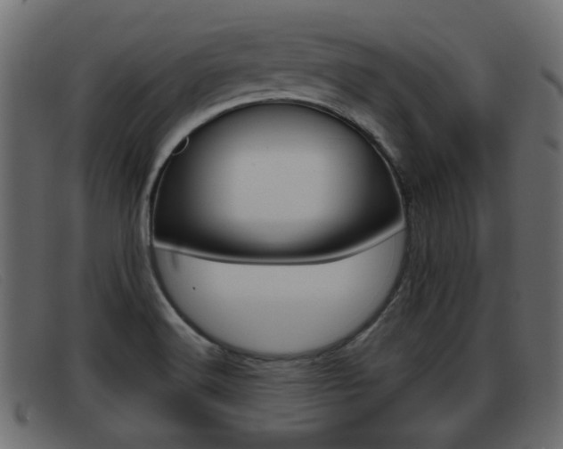 X0000093361516200710111259