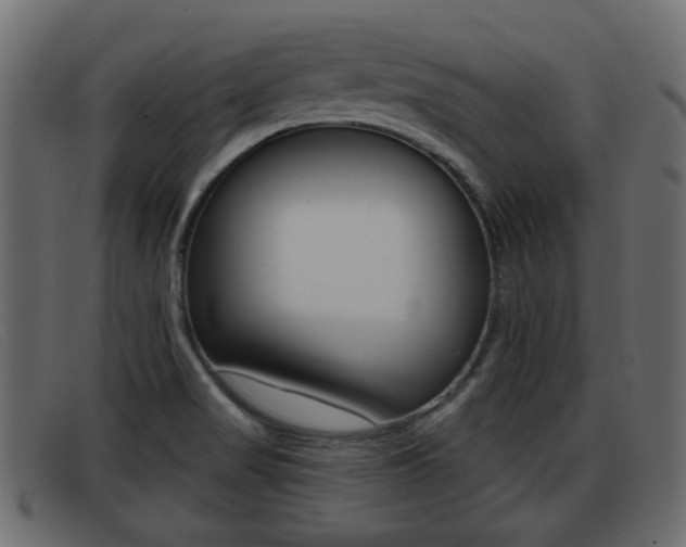 X0000093361517200710111259