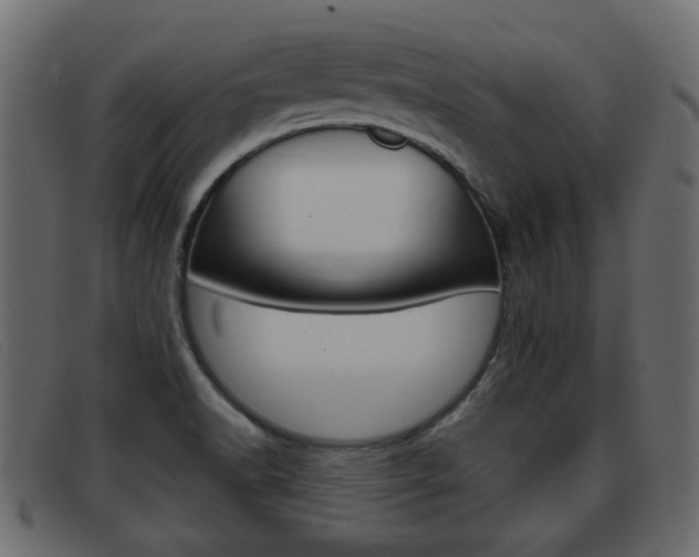 X0000093361518200710111259