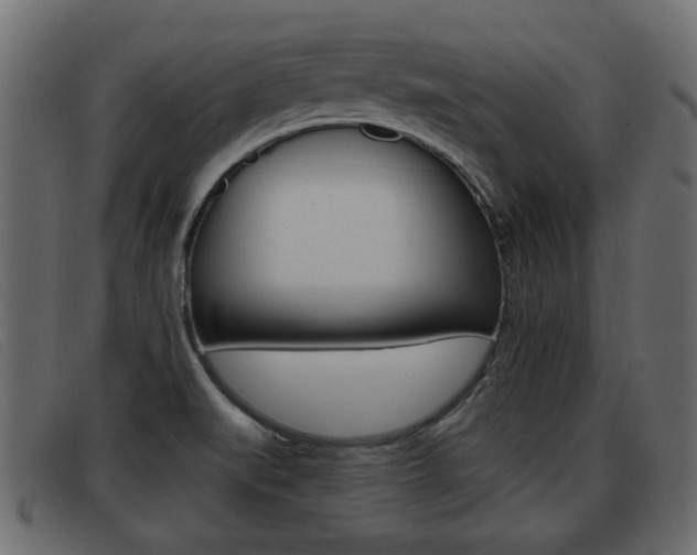 X0000093361519200710111259