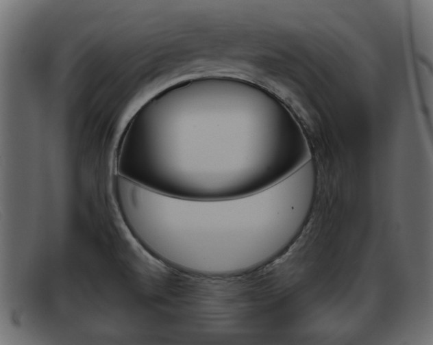 X0000093361520200710111259