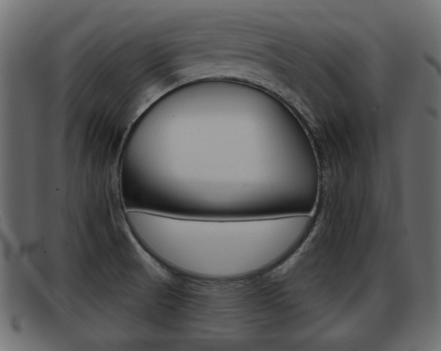 X0000093361521200710111259