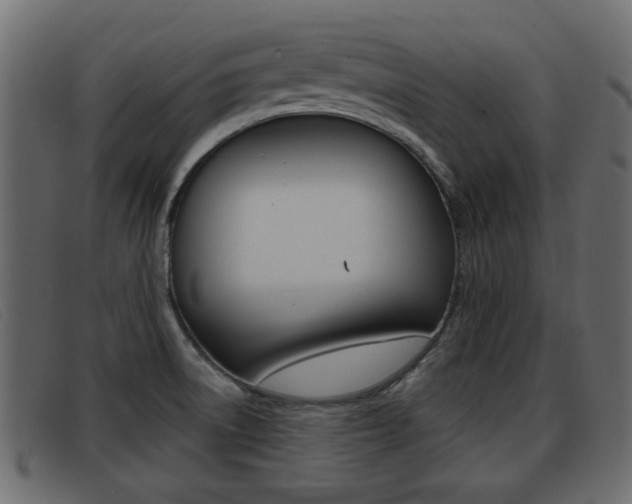 X0000093361522200710111259