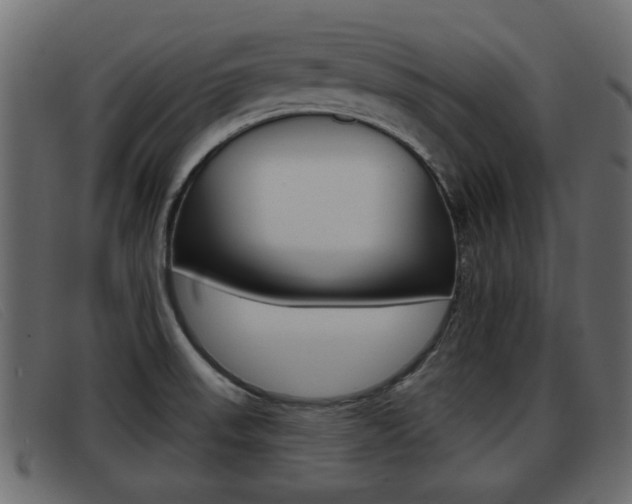 X0000093361523200710111259