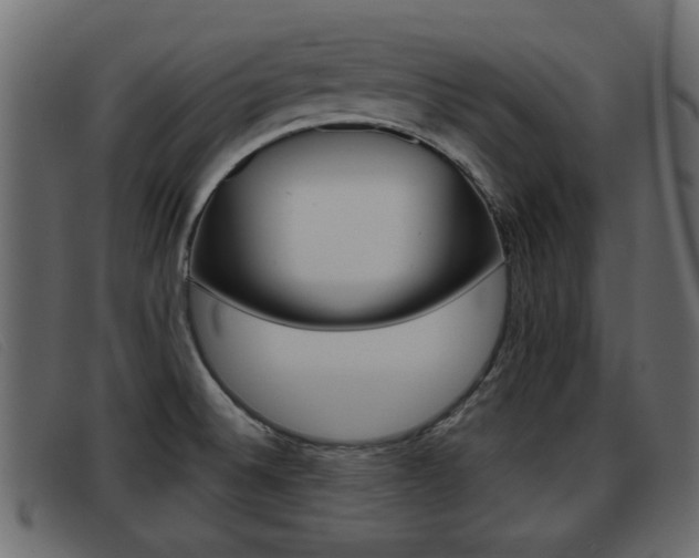 X0000093361524200710111259