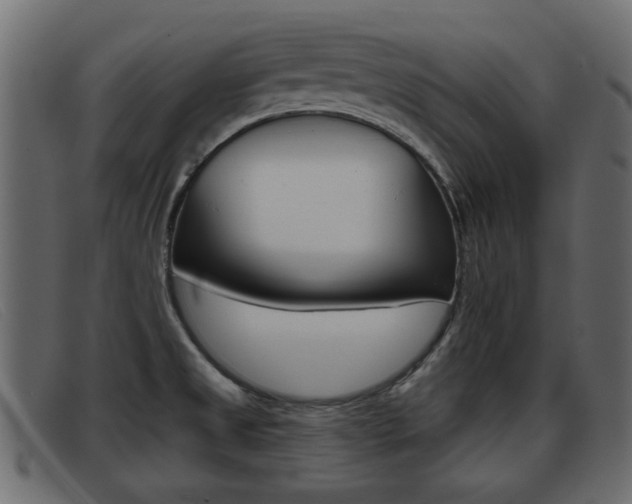 X0000093361525200710111259