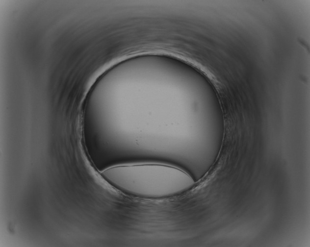 X0000093361526200710111259