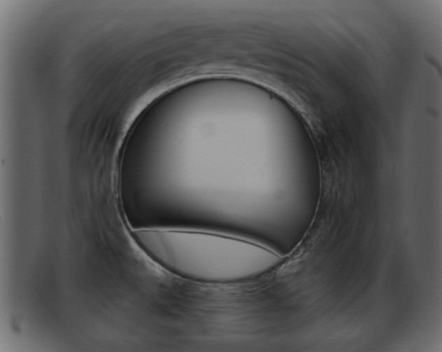 X0000093361527200710111259