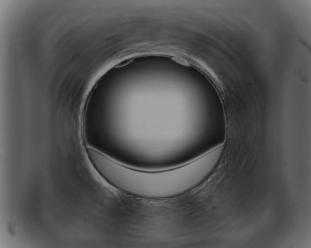 X0000093361528200710111259