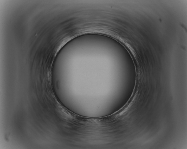 X0000093361529200710111259