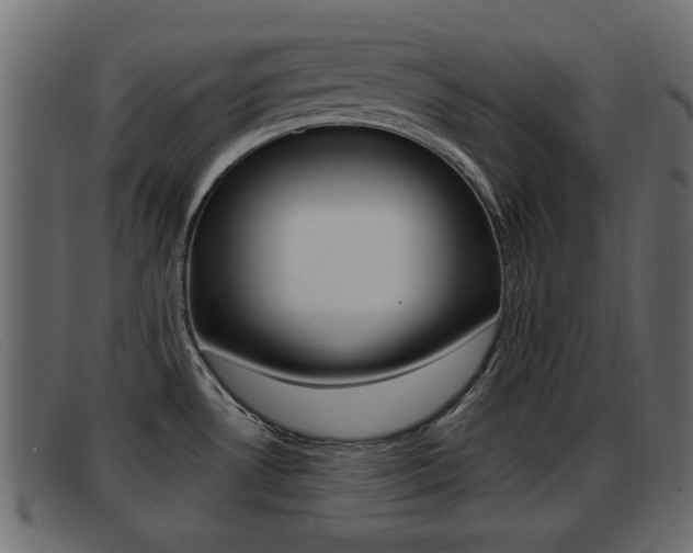 X0000093361530200710111259