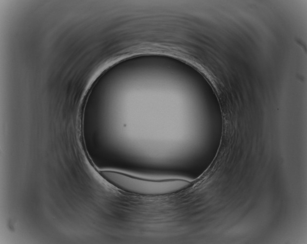 X0000093361531200710111259