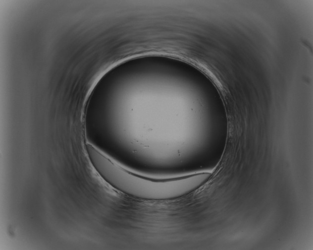 X0000093361532200710111259